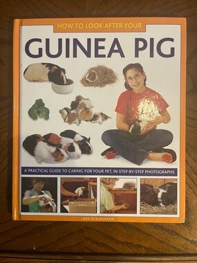 Guinea Pig kids book | How to Look After Your Guinea Pig | hardcover